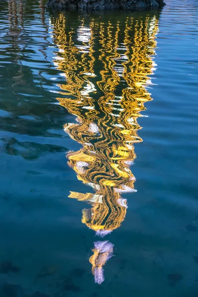 Illuminated decorated New Year tree reflected in the water — Stock Photo, Image