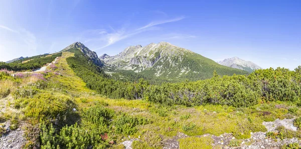 Panoramic view of High Tatras mountains, Slovakia — Stock Photo, Image