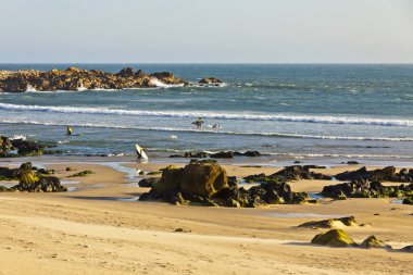 Rocky beach of Atlantic Ocean in Matosinhos, Porto, Portugal clipart