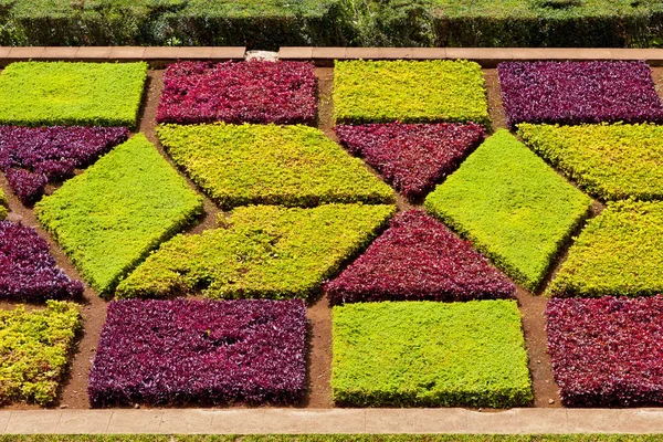 Jardim Botânico Tropical no Funchal, Madeira, Portugal — Fotografia de Stock