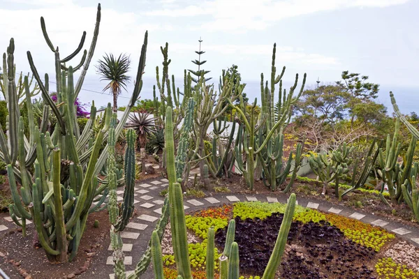 Jardín Botánico Tropical en Funchal, Madeira, Portugal — Foto de Stock