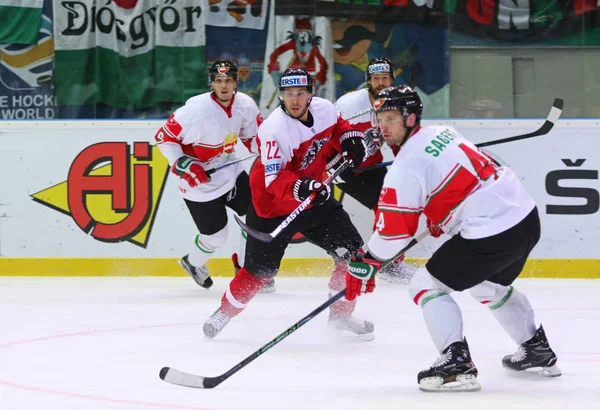 Championnat du monde de hockey sur glace 2017 Div 1 à Kiev, Ukraine — Photo