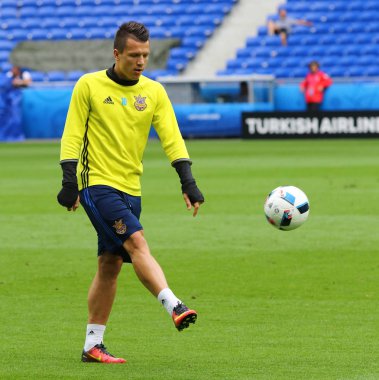 UEFA Euro 2016: Ukrayna maç öncesi eğitim Lyon