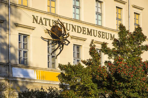 Muzeum Historii Naturalnej w Lipsku, Niemcy — Zdjęcie stockowe