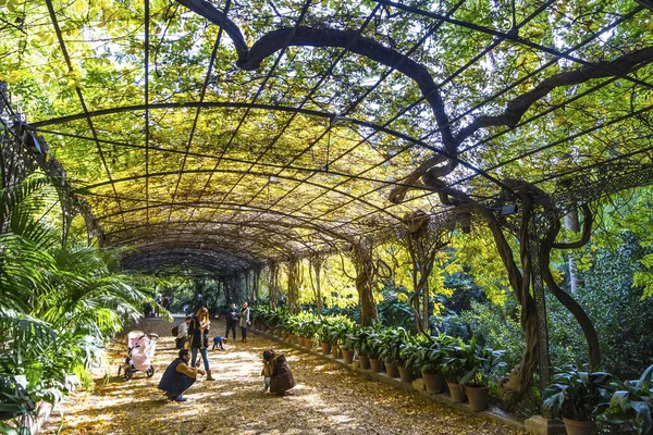 Malaga, Spai 'deki Botanik Bahçesi (Jardin Botanico La Concepcion)