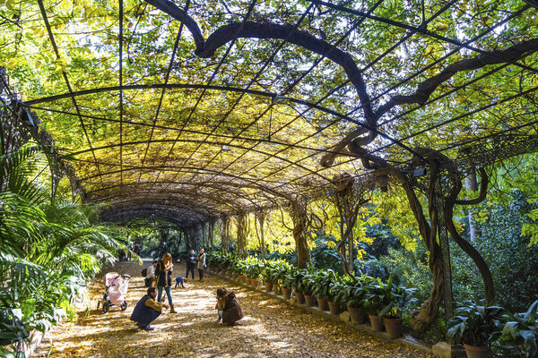 Ботанический сад (Jardin Botanico La Concepcion) в Малаге, Spai
