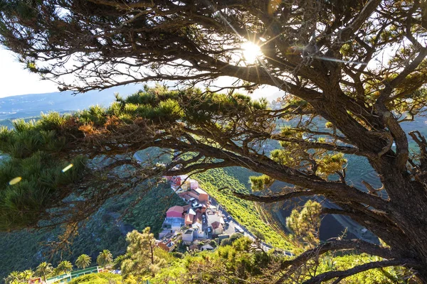 Caldera de Bandama, isola di Gran Canaria, Spagna — Foto Stock