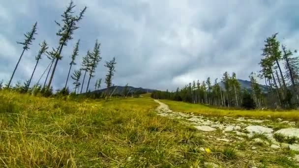 Tatranska Lomnica skidort i Höga Tatrabergen, Slovakien — Stockvideo