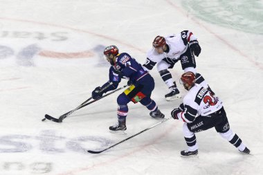 Deutsche Eishokey Liga: Berlin 'de Eisbaren Berlin' e karşı Kolner Haie