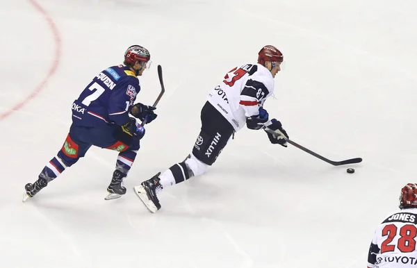 Deutsche Eishockey Liga: Eisbaren Berlin contra Kolner Haie em Berlim — Fotografia de Stock