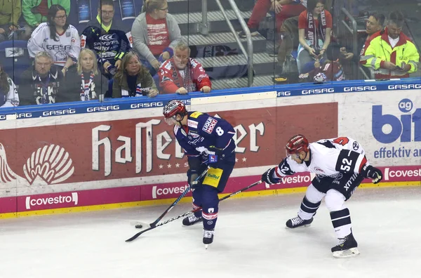 Deutsche Eishockey Liga: Eisbaren Berlin contra Kolner Haie em Berlim — Fotografia de Stock