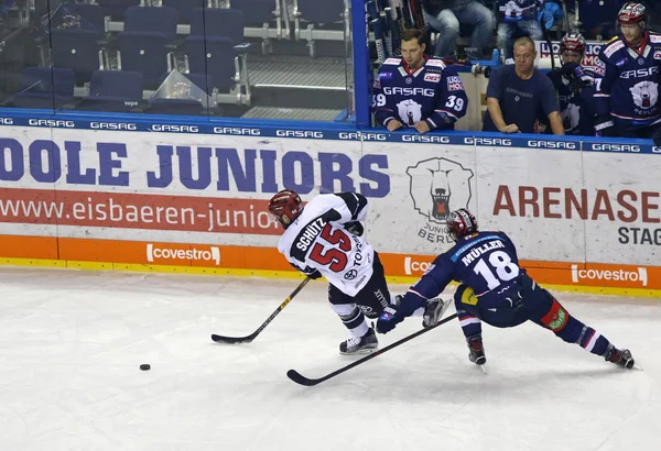 Deutsche Eishockey Liga: Eisbaren Berlin tegen Kolner Haie in Berlijn — Stockfoto