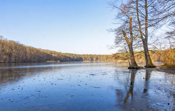 Vista de inverno do lago Schlachtensee em Berlim, Alemanha — Fotografia de Stock