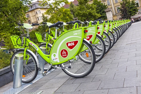 Budapest Ungheria Maggio 2017 Fila Biciclette Sulla Stazione Attracco Bubi — Foto Stock