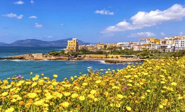 Costa Mediterránea Ciudad Alghero Cerdeña Italia Pintorescas Flores Amarillas Primavera — Foto de Stock