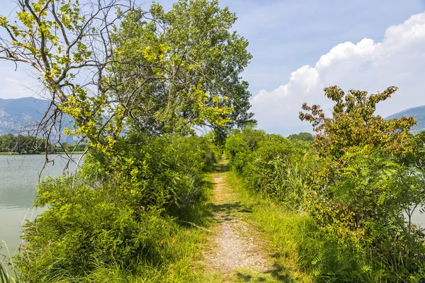 Rezerwat Przyrody Sebino Włoski Riserva Naturale Torbiere Del Sebino Pobliżu — Zdjęcie stockowe