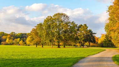 Saksonya, Almanya 'daki Leipzig şehrindeki Rosenthal orman parkı. Tarihi şehir merkezinin kuzeyinde yer alan Rosenthal, Leipzig Riverside Ormanı 'nın (Almanca: Leipziger Auwald) koruma alanının bir parçasıdır.)