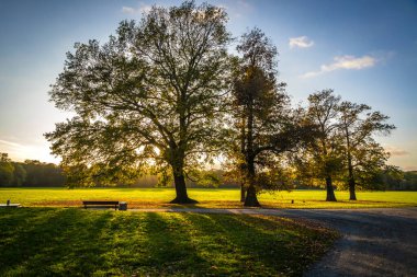 Saksonya, Almanya 'daki Leipzig şehrindeki Rosenthal orman parkı. Tarihi şehir merkezinin kuzeyinde yer alan Rosenthal, Leipzig Riverside Ormanı 'nın (Almanca: Leipziger Auwald) koruma alanının bir parçasıdır.)