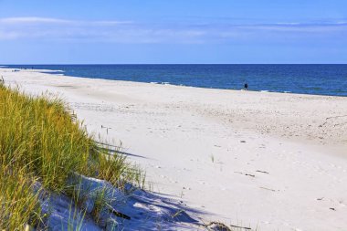 Hel Peninsula 'da kumlu güzel bir sahil, Baltık Denizi, Pomeranya Voyvoda' sı, Polonya. Hel, Kuzey Polonya 'da Puck Körfezi' ni açık Baltık Denizi 'nden ayıran 35 km uzunluğunda bir kum çubuğu yarımadasıdır.