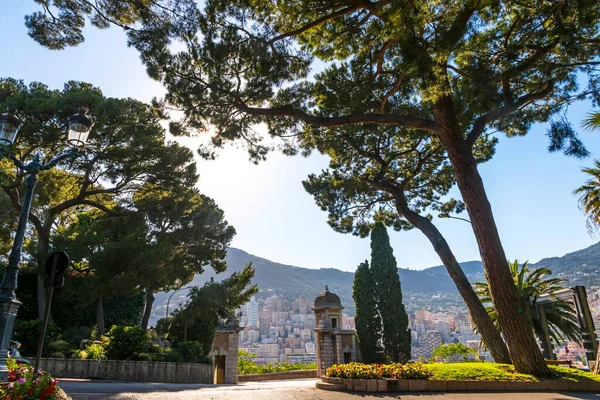 Jardin Municipal Sur Avenue Porte Neuve Principauté Monaco Côte Azur — Photo