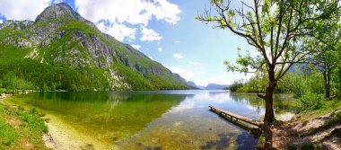 Slovenya 'nın Julian Alps kentinde Bohinjsko jezero Gölü' nün panoramik manzarası. Slovenya 'nın en büyük kalıcı gölüdür. Triglav Ulusal Parkı