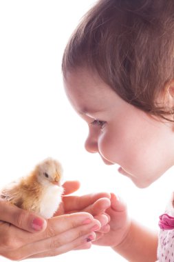 Mutlu çocuk ve küçük tavuk