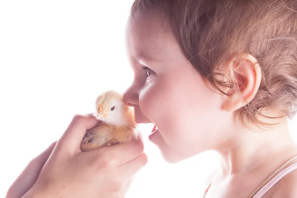 Criança feliz e pouco frango — Fotografia de Stock