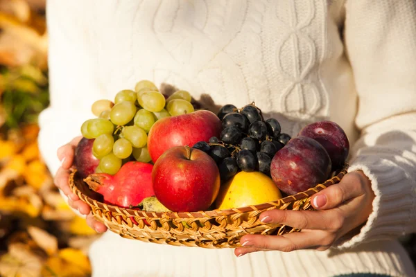 Frutas bodegón — Foto de Stock