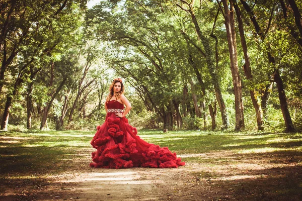 Princesa con corona en vestido rojo nublado — Foto de Stock