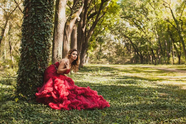 Принцеса з короною в хмарно-червоній сукні — стокове фото