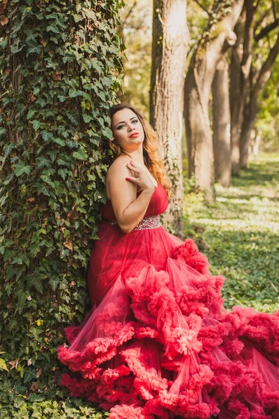 Princesa con corona en vestido rojo nublado —  Fotos de Stock