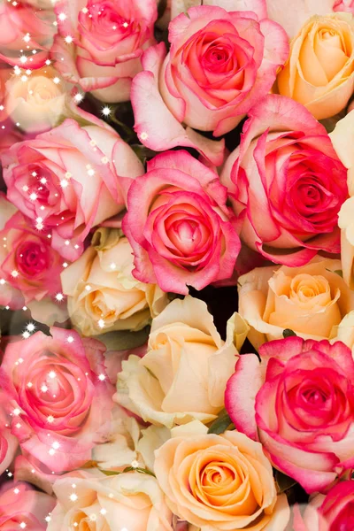 Motif roses fond — Photo