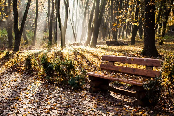 Autumnal misty morning — Stock Photo, Image