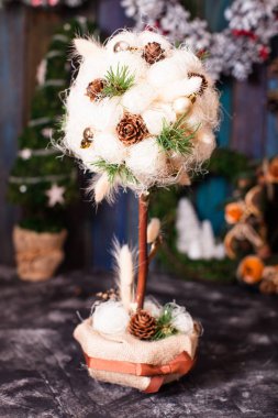 Aromatik kahve ağaçları