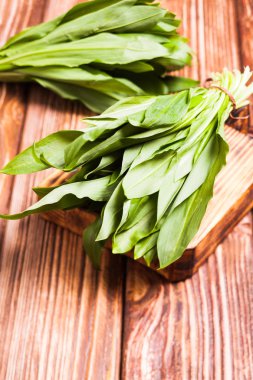 Taze yabani sarımsak