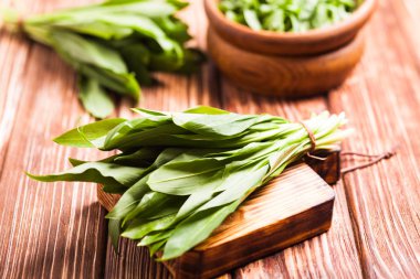 Taze yabani sarımsak