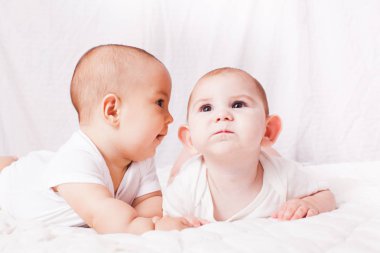 Bebekler söz, mizah