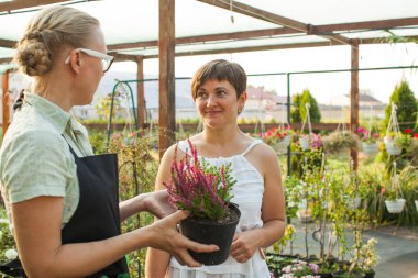 Çiçekçi Çiçek bir tencerede gösteren