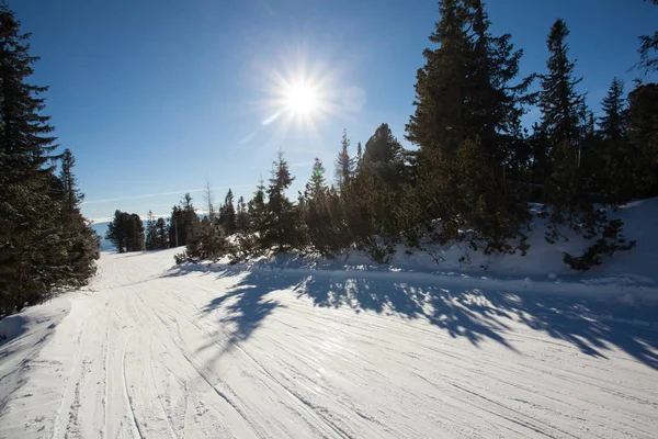 스키 슬로프 자연 환경 — 스톡 사진