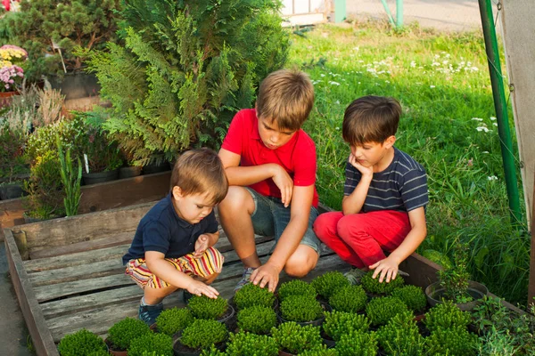 Τα παιδιά με πράσινα φυτάρια — Φωτογραφία Αρχείου