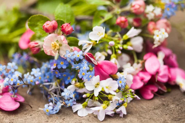 Wiosenne kwiaty zbliżyć — Zdjęcie stockowe