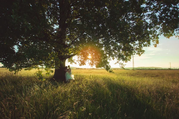 Brudepar under treet – stockfoto