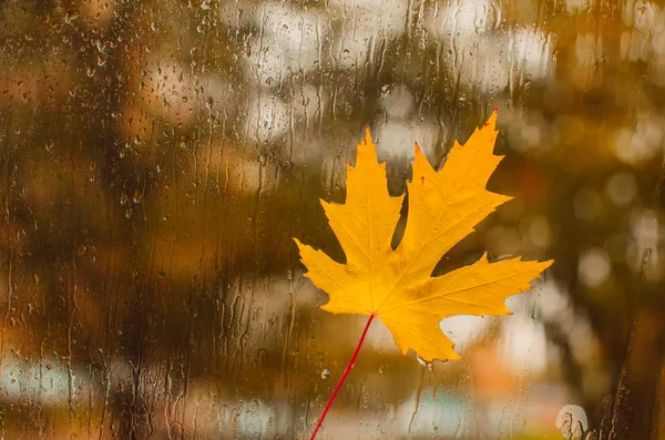 雨の日に窓からの眺め — ストック写真