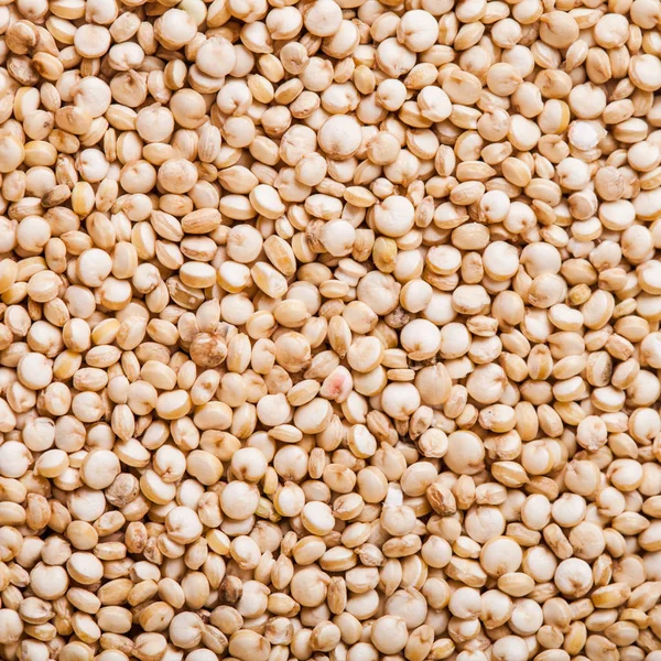 Pile of quinoa grain — Stock Photo, Image