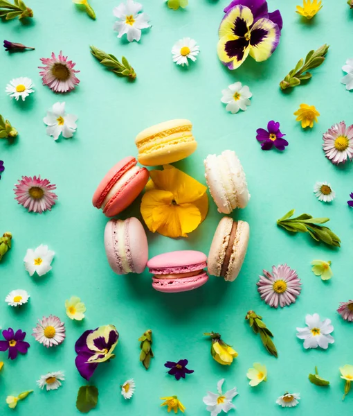 Färgglada macaroons och blommor — Stockfoto