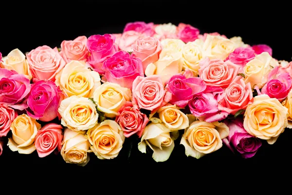 Bordüre rosa und beige Rosen — Stockfoto