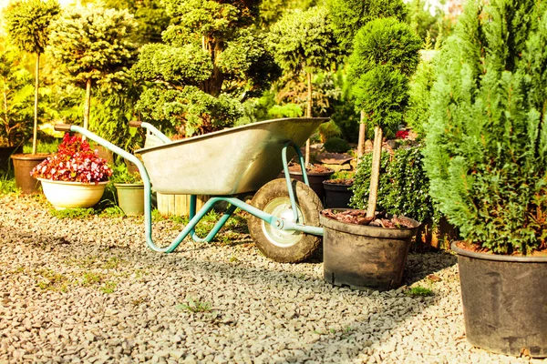 Kruiwagen en zonlicht buiten — Stockfoto