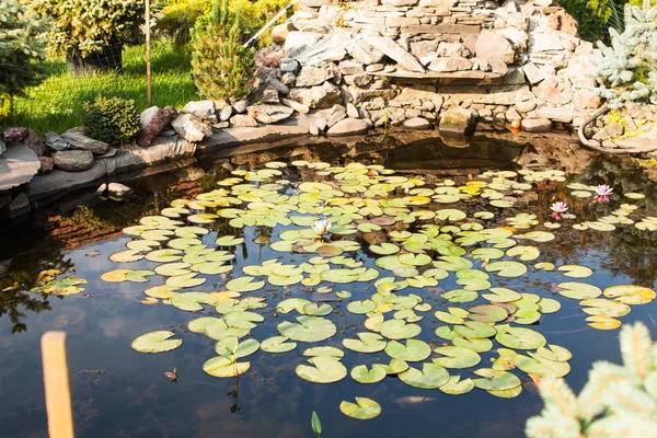 Jardim lago paisagismo — Fotografia de Stock