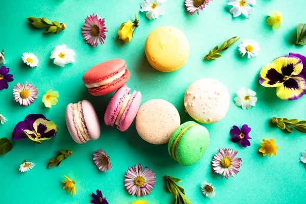 Renkli macaroons ve çiçekler
