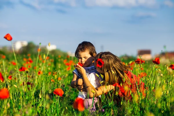 Girls in a poppy field — Stock Photo, Image